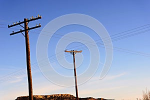 Old wooden power poles with glass insulators