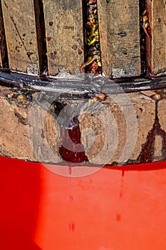 Old wooden press with must inside. Pressing grapes for red wine.