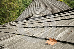 Old wooden roof, house in the forest