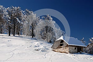 Old wooden rustic house, Romania, Sirnea