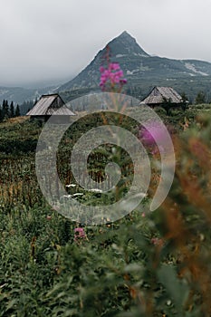 Old wooden rustic mountain huts in the Tatra Mountains with monumental mountain peak in the background