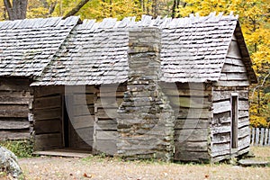 Old wooden house in forest