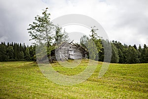 Old wooden shed