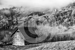 Old wooden shed in meadow with autumn forest background