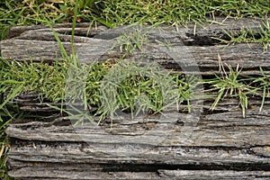 Old wooden sheets on grass