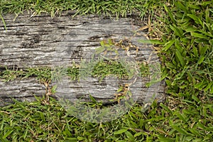 Old wooden sheets on grass