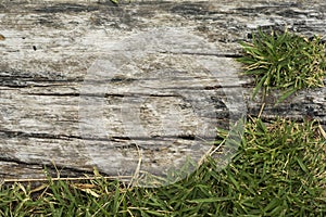 Old wooden sheets on grass