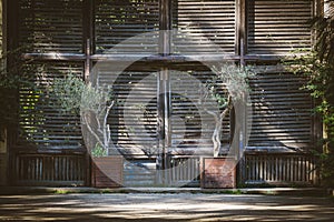 Old wooden shutter doors