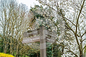 Old wooden sign post with directions