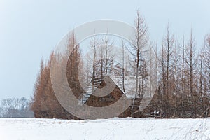 Old wooden small house in winter