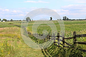 Campo di battaglia cercando K sta scherzando da alberi 