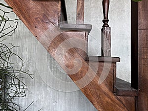 Old wooden stairs and concrete wall with fresh green plants