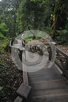 Old wooden stairs downward in Asian garden in Taiwan