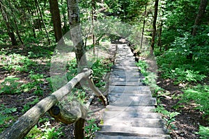 Old wooden stairs in the forest. Sigulda.