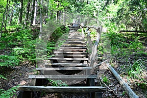 Old wooden stairs in the forest. Sigulda.