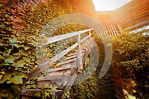 Old wooden stairs to the light