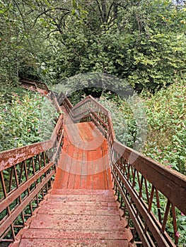 Old wooden stairway in forest, nature trail in reserve.