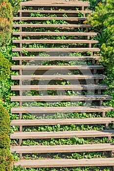 Old wooden stairway in the park