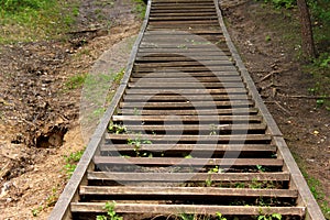 Old wooden stairway in a park