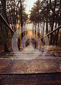 Old wooden steps of a beautiful staircase leading down to the sea in a pine forest at sunset in Lithuania, Klaipeda