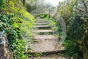 Old Wooden Steps up to towpath on Lancster Canal