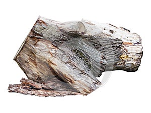 Old wooden stump log isolated over white