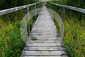 An old wooden suspension bridge over a swampy ditch with tall green grass. Road to nowhere. Abandoned place. Hiking in