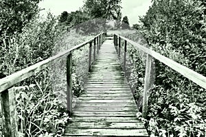 An old wooden suspension bridge over a swampy ditch with tall green grass. Road to nowhere. Abandoned place. Hiking in