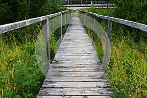 An old wooden suspension bridge over a swampy ditch with tall green grass. Road to nowhere. Abandoned place. Hiking in