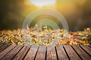 Old wooden table Brown grunge placed separately and sunset in spring time background