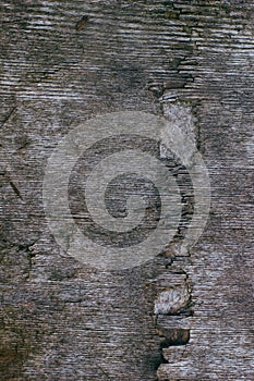 Old wooden table texture. Wheathered wooden table surface.