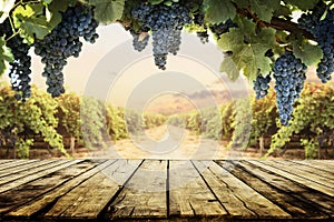 Old wooden table top with blur vineyard and grape background. Wine product tabletop country nature design. Winery display layout