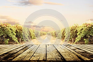 Old wooden table top with blur vineyard and grape background. Wine product tabletop country nature design. Winery display layout