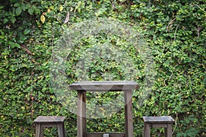 Old wooden table and wooden chairs with ornamental plants or ivy or garden tree.