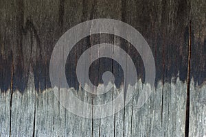 Old wooden texture, plywood background