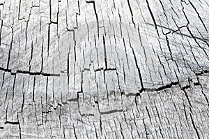 Old wooden texture of wood in the context