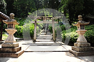 Old wooden Torii in Japanese shrine photo