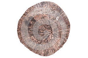 Old wooden tree trunk showing growth rings and pattern surface. Wood texture isolated on white background