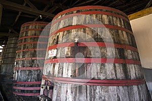Old wooden vats inside the cellar photo