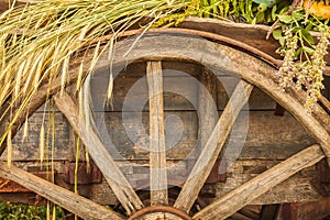 Old wooden wagon loaded with fresh cereal crop