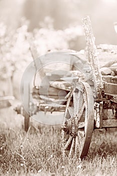 Old wooden wagon with rusty wheels on the grass in spring