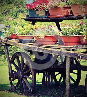Old wooden wagon with vintage effect