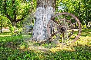 Old wooden wagon wheel