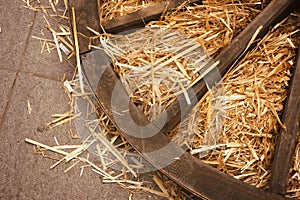 Old wooden wagon wheel lies in the manger