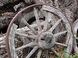 Old Wooden Wagon Wheel