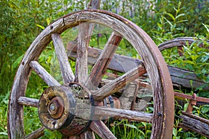 Old wooden wagon wheel in tall grass