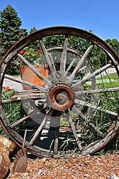 Old wooden wagon wheels on a cart holding flower pots