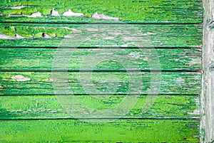 Old wooden wall. Green wood background. Old green rough paint