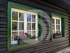 Old wooden wall with two white windows, decorated with flowers