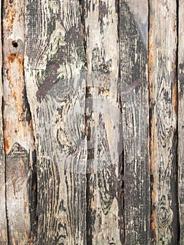 Old wooden wall weathered vertical